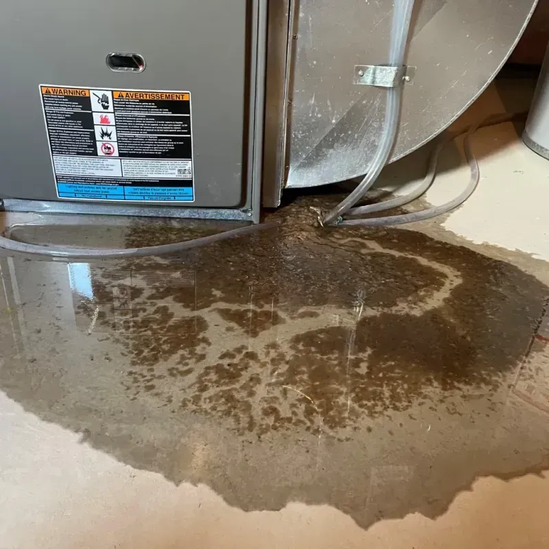 Appliance Leak Cleanup in Green Oaks, IL